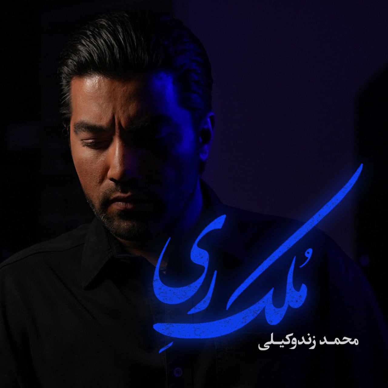 محمد زندوکیلی - ملک ری